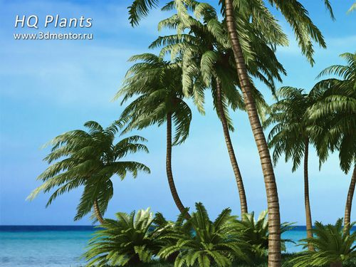 descarga palmas 3d